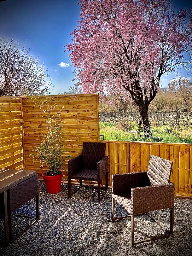 Lodging Au Milieu Des Vignes & Des Etoiles Saint-Jean-de-Fos Exteriör bild